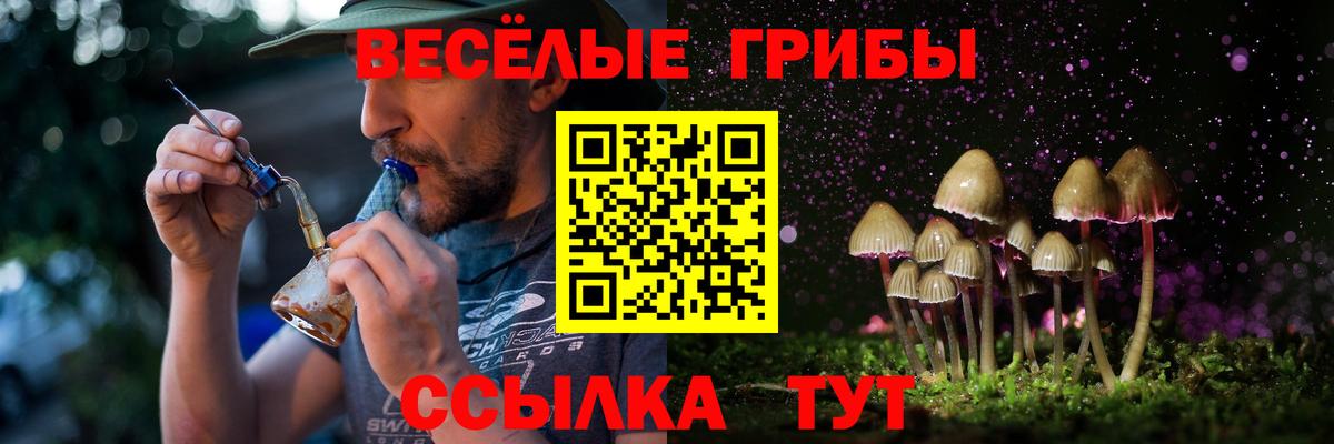 Галлюциногенные грибы мухоморы  Вход с VPN  Галлюциногенные грибы MAGIC MUSHROOMS  Северск 